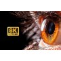 Splitter HDMI 8K UHD 3D 60Hz 2 vie CEC SPDIF Ottico