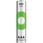 Blister 2 Batterie Ricaricabili Mini Stilo AAA 650 mAh