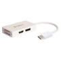 Adattatore DisplayPort a DVI/HDMI/DP 3-in-1