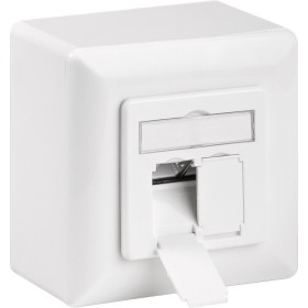 Presa a Muro Esterna 2xRJ45 Cat.6A Bianco