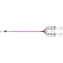 Cavo Patch a 12 Fibre Multiconnessione MTP-F/LC OM4 2m