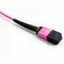 Cavo Patch a 12 Fibre Multiconnessione MTP-F/LC OM4 2m