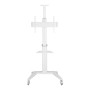 Supporto da Pavimento per TV da 37'' a 70'' Bianco