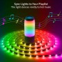 Kit Striscia LED Intelligente 5m con Funzione Musicale e Controllo Vocale Alexa, R5149