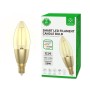 Lampadina Intelligente Candela E14 Ambra Calda 4,9W LED a Filamento Alexa Google Assistant Classe F, R5141