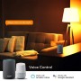Lampadina LED E27 con Filamento Smart Controllo Vocale Alexa F, R9078