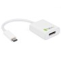 Cavo Convertitore Adattatore da USB-C&trade Maschio a Displayport Femmina