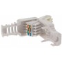 Plug Cat. 5/6 RJ45 Toolless con Copriconnettore