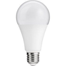 Lampada LED Globo E27 Bianco Caldo 15W, Classe E