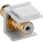 Modulo Keystone Cinch/RCA Bianco