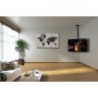Staffa telescopica per installazione TV LED/LCD a soffitto