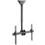 Supporto Telescopico Universale a Soffitto per TV LED LCD 37-70''