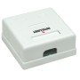 Presa a Muro con 2 Frutti RJ45 Cat. 5E UTP Beige