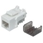 Frutto Keystone RJ45 Cat6A UTP 10 Gigabit Bianco