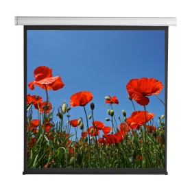 Schermo di Proiezione Motorizzato 112'' 200x200 PSA-112-2