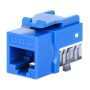 Frutto Keystone Slim Cat.6 per Cavo Rigido con Supporto Punch-Down 25 pz Blu