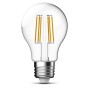 Lampadina LED E27 Bianco Caldo 6W Filamento Classe A++