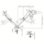 Supporto da Scrivania Doppio Monitor 17-32'' con Molla a Gas Nero