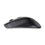 Mouse Ottico Wireless 1600 Dpi 6D Nero, WM-308B