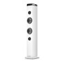NGS ALTOPARLANTE WIRELESS, 50W, BLUETOOTH 5,4, USB AUX OTTICO RADIO FM, DISPLAY LED E CUSTODIA IN LE